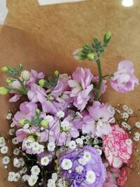 Petalってなんてよめばいいのですか 花びらって意味なんですけど どな Yahoo 知恵袋