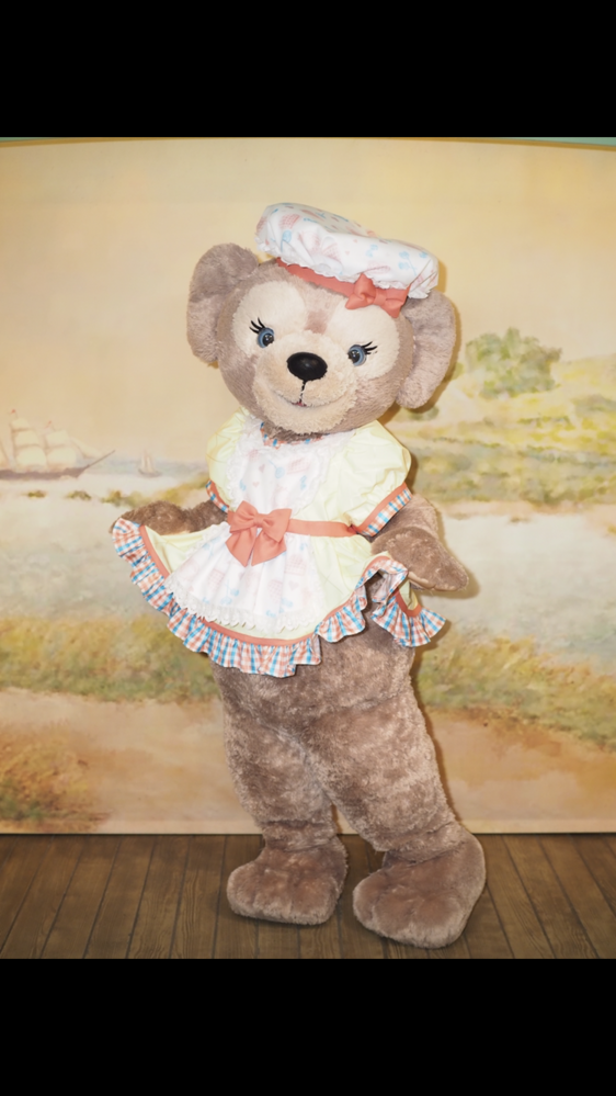 東京ディズニーシー ヴィレッジグリーティングプレイスでのカメラ Yahoo 知恵袋