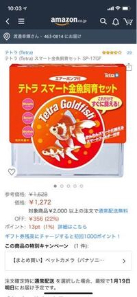 ザリガニを飼っています 水がすぐにすごく臭くなるンですが ザリガニって臭いん Yahoo 知恵袋