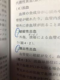 青丸がうってある所の漢字の読み方を教えて下さい はたんせいし Yahoo 知恵袋