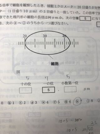 Yahoo!知恵袋接眼ミクロメーター二十メモリが対物ミクロメーター(1メモリ10マイクロメートル)の5メモリと一致していた。