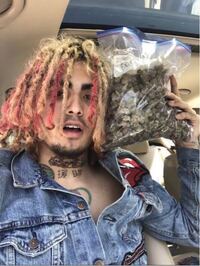 ドレッドヘアってどう思いますか 休みにドレッドヘアにしようと思 Yahoo 知恵袋