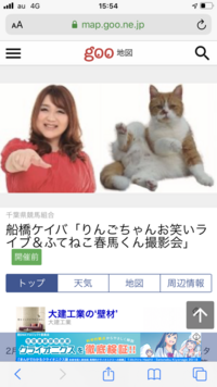 2 11日に船橋競馬に猫の春馬くんとりんごちゃんが来るらしく 春馬くんが競馬 Yahoo 知恵袋