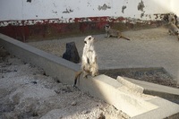 東武動物公園のプールのロッカーに忘れ物をしてしまったのですが どこに Yahoo 知恵袋