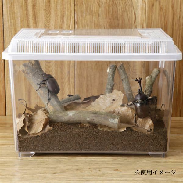 レオパは大きめの虫かごでも買えますか 前にカエルを飼おうと思っていた時 Yahoo 知恵袋