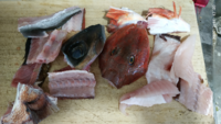 白身魚のマビキというのを買ったんですが聞きなれない魚でレシピ Yahoo 知恵袋