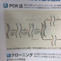 ニワトリが卵を産むときって痛くないんですか 生物図録を見ていた Yahoo 知恵袋