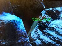 無料でダウンロード Ark ビール樽 灌漑 ただのゲームの写真