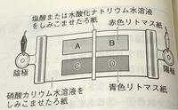 中３理科アルカリ性中性酸性の水溶液を垂らした時にリトマス試験紙の色が変わ Yahoo 知恵袋