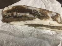 自家製パンチェッタ誰か教えて下さい 塩漬けから6日と10 Yahoo 知恵袋