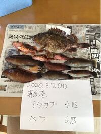 鱈って骨取りやすいですか 骨が嫌で魚料理を毛嫌いする家族がいます 鱈を使った Yahoo 知恵袋