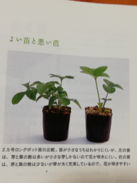 ヒヨドリって花を食べるんですか 家の前に川があって自転車で３分の橋の所 Yahoo 知恵袋