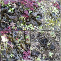 ゆきの溶かし方日陰の雪を早く溶かすには熱湯をかけて溶かす以外に方 Yahoo 知恵袋