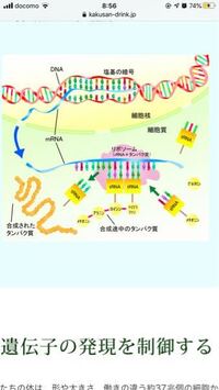 たんぱく質が燃焼するときの匂いについての質問です 髪や遺骸は燃え Yahoo 知恵袋