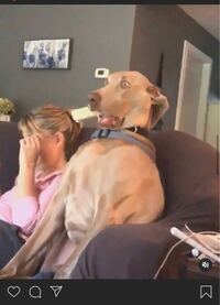 子犬がケージで過ごす時間 現在3け月の子犬です ケージに入れると暫く Yahoo 知恵袋