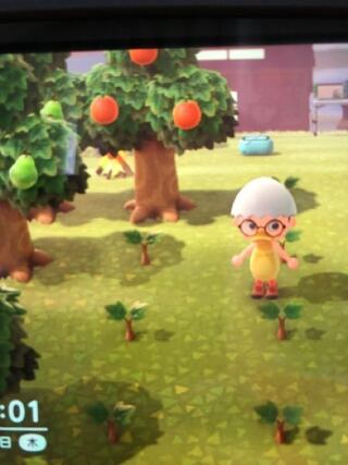 あつ森で果物の木を植えているんですけど ずっと苗のままです どうし Yahoo 知恵袋