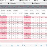 形状 なくなる 等 韓国 下着 サイズ Logisticalcenter Org