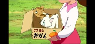 yahoo 知恵袋 yahoo japan