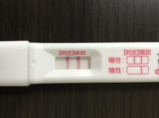 陰性から陽性 高温期12日目