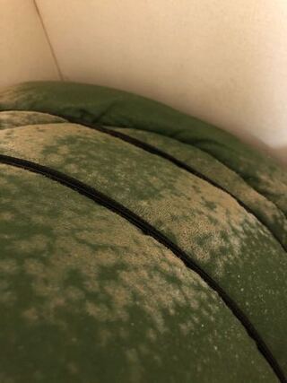 回覧注意寝袋にカビが生えてます クリーニングに出したら使えるように Yahoo 知恵袋