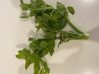 ツルムラサキをたくさん食べたいです 教えてください お願いします Yahoo 知恵袋
