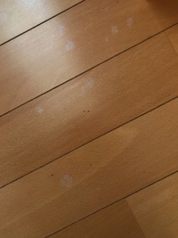 フローリングの床に白い汚れがあり取れません 見た目は絵の具をこぼしたよ Yahoo 知恵袋