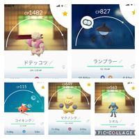 ポケモンgoについて質問ですが個体値がマックスでcpが198のと個体値が Yahoo 知恵袋