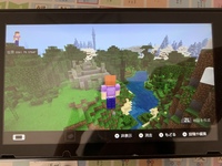 Minecraftのこの地形 レアですか クリエイティブで散歩してたらたまたま見つ Yahoo 知恵袋