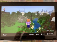 Minecraftのこの地形 レアですか クリエイティブで散歩してたらたまた Yahoo 知恵袋