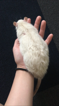 1ha ヘクタール って何平方kmですか １ヘクタールは100 Yahoo 知恵袋