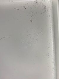 部屋にこのようなホコリ ゴミ みたいな黒い何かがたくさんあるのです Yahoo 知恵袋