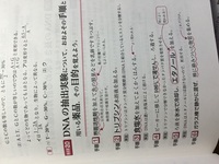 生物基礎の質問です 食塩水とエタノールを加えるところなんですが 手 Yahoo 知恵袋