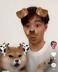 犬になれて耳が黄色のキラキラしてる加工ができるアプリってなんです Yahoo 知恵袋