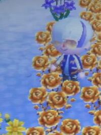 あつ森の髪型について質問です 画像の髪型はウィックですか どこで入手で Yahoo 知恵袋