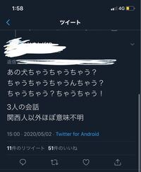 この関西弁の会話訳して貰えませんか あの犬の犬種はチャウチャウではな Yahoo 知恵袋