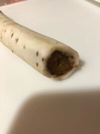ごぼうについてごぼうを切ったら真ん中に茶色の円形の筋 があったのですが Yahoo 知恵袋