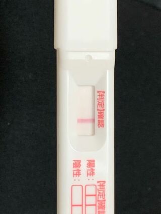 生理予定日2日目の検査です 陰性で正しいですか 結果としては Yahoo 知恵袋
