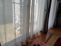 犬ってカーテン噛みますか 柴犬の一歳になってない子を飼ってますが 留守中にお菓 教えて 住まいの先生 Yahoo 不動産