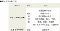 ツルニチニチソウの毒性について 今日ツルニチニチソウを植 Yahoo 知恵袋