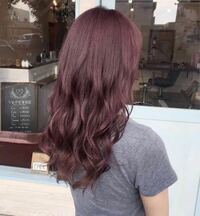 派手髪でのバイト髪の毛が全体紫なんですが そんな髪でも出来るバイ Yahoo 知恵袋