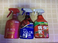 バラにオルトランｄｘ粒剤を使用しています 使用回数が4回までとあ Yahoo 知恵袋