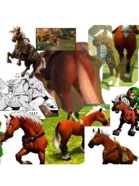 ゼルダの伝説シリーズに出てくるエポナというお馬さんがきっかけで色々目 Yahoo 知恵袋