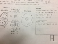 アルファベットのyみたいな漢字は何ですか Yahoo 知恵袋