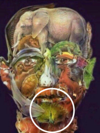 動物探しのトリックアートで この中にラクダがいるらしいのですが一向に見つかり Yahoo 知恵袋