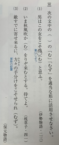 古典 活用形に関する質問です 基本の基本で情けない話です すいませ Yahoo 知恵袋