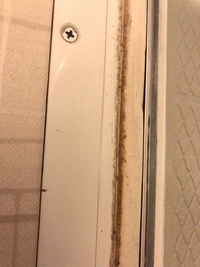 ガリガリに固まった風呂場扉のパッキンの汚れ。
どうしたら落ちますか？ 