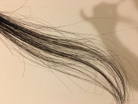 くせ毛についてです 髪の毛に直毛と波状毛がたまに混じって生えてます Yahoo 知恵袋