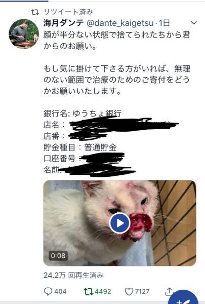 Twitterで顔が半壊状態の猫が捨てられていたとのことですがこれ 