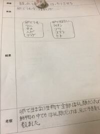ライオン ゾウ ワニ ゴリラ サメ 人 ヘビ クラゲが 子を卵で産 Yahoo 知恵袋