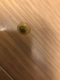 セキセイインコのうんちなんですがこれは下痢ですか いまさっき水浴びをしました Yahoo 知恵袋